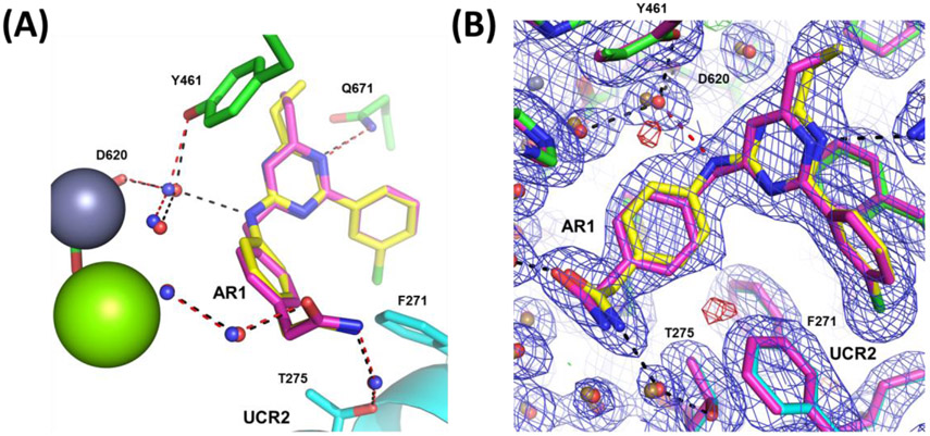 Figure 5: