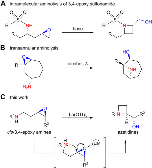 SCHEME 2