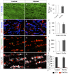 Figure 4—figure supplement 1.