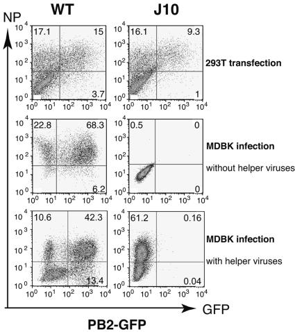 FIG. 4.