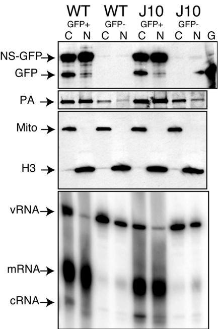 FIG. 5.