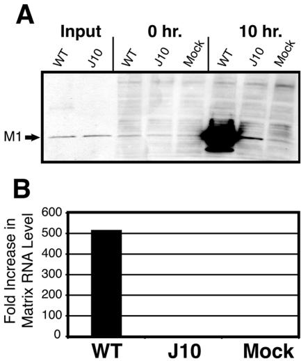 FIG. 3.