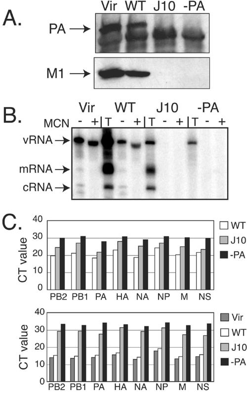 FIG. 7.