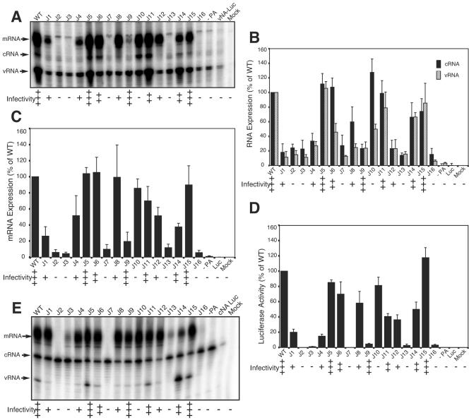 FIG. 2.