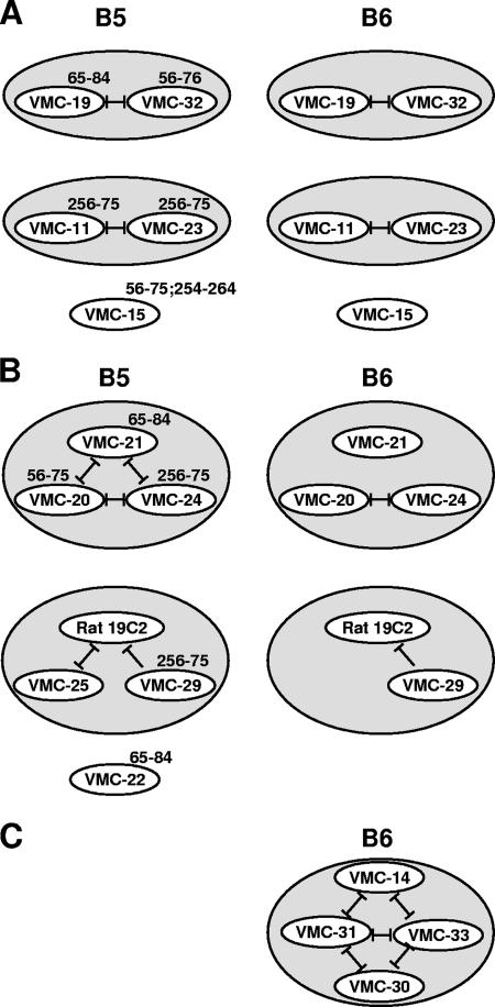 FIG. 7.