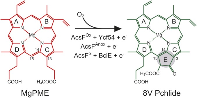 Fig. S5.