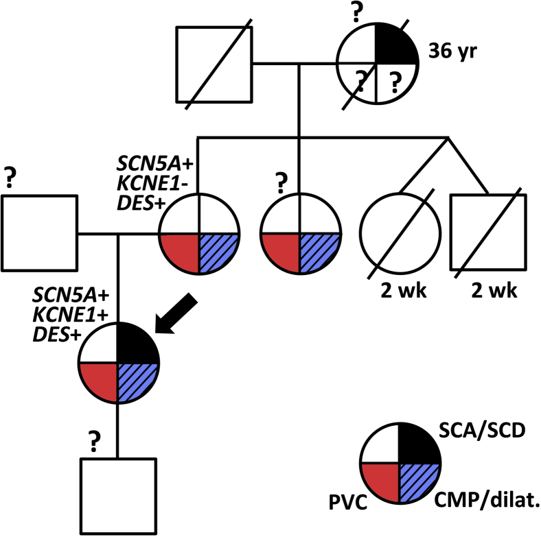 Figure 1