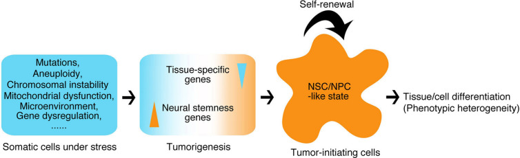 Fig. 13