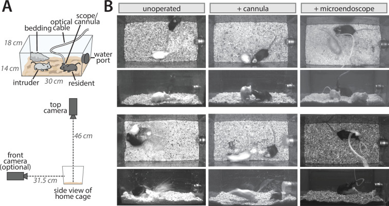 Figure 1—figure supplement 1.