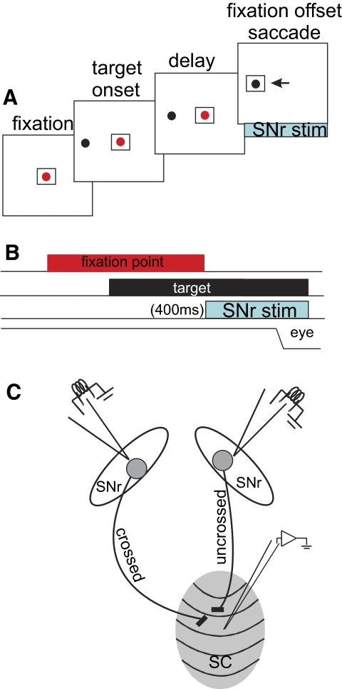 FIG. 1.