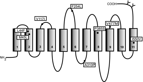 Fig. 1.