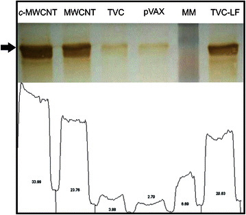 Fig. 4