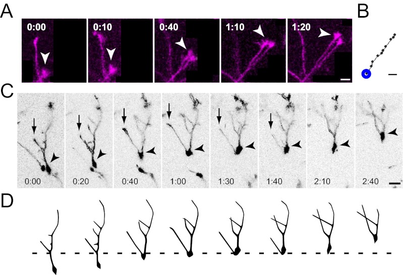 Fig. 4.