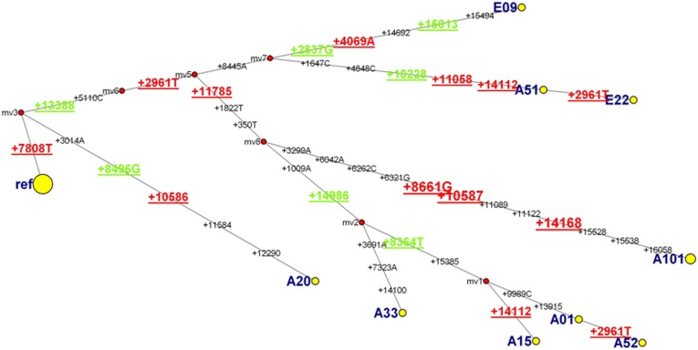 Fig. 4.