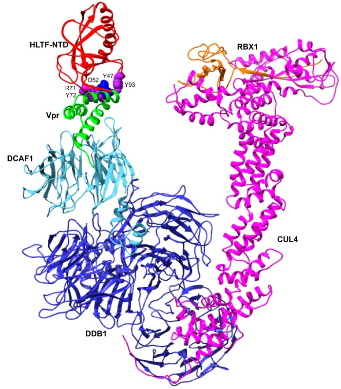 Figure 5.