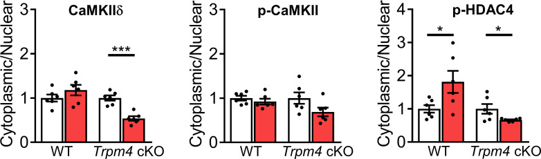 Figure 4—figure supplement 2.