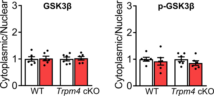 Figure 5—figure supplement 1.