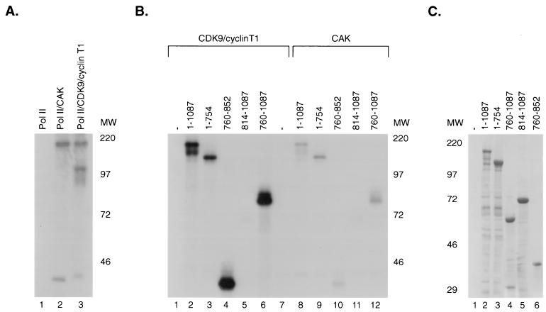 FIG. 6