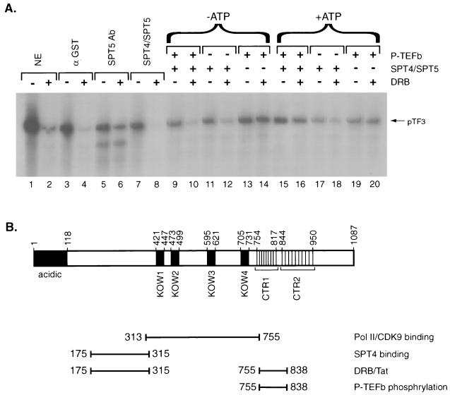 FIG. 8