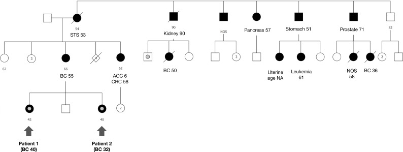 Figure 4