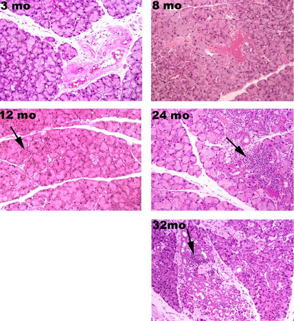 Fig. 9