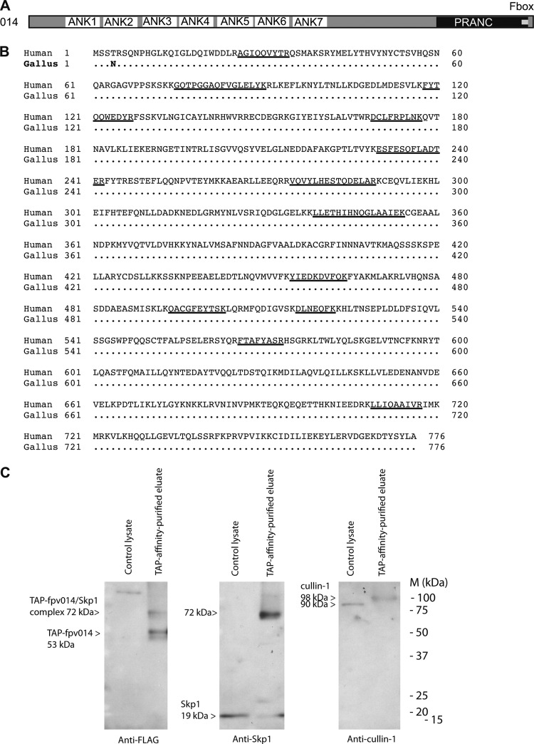 Fig 8