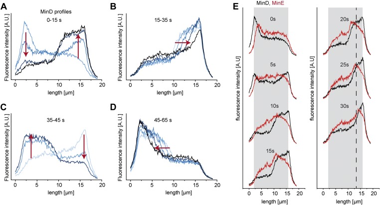 Figure 1—figure supplement 3.