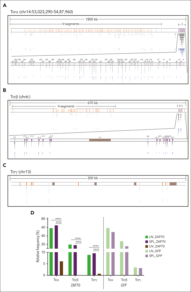 Figure 3.