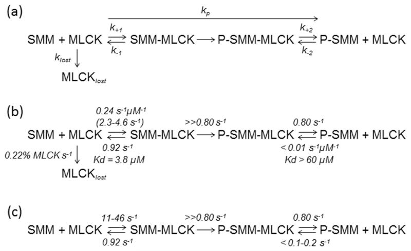 Scheme I