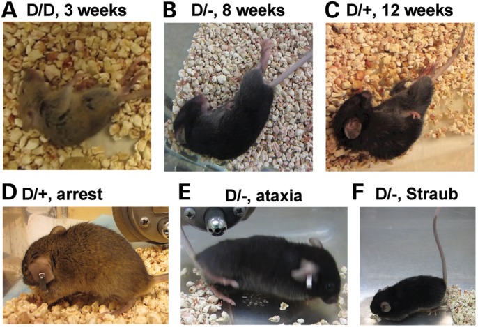 Figure 2.