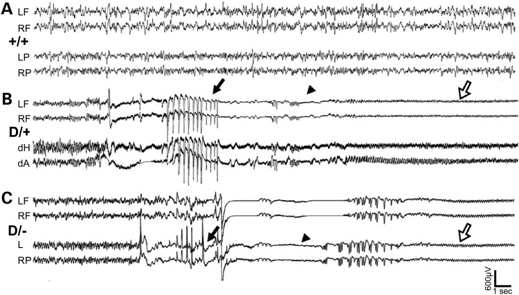 Figure 4.