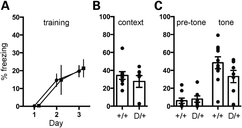 Figure 6.