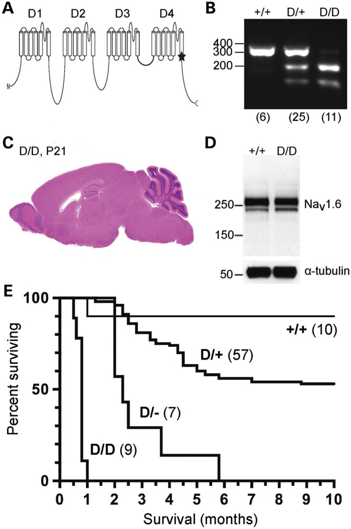 Figure 1.