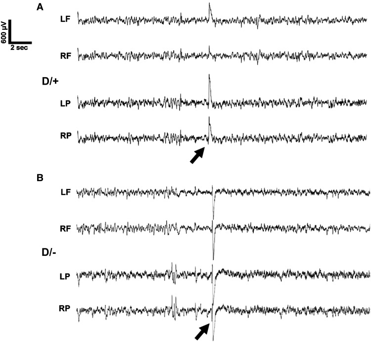 Figure 3.