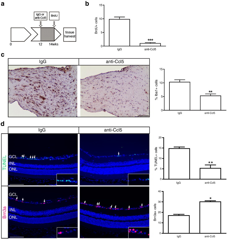 Figure 6