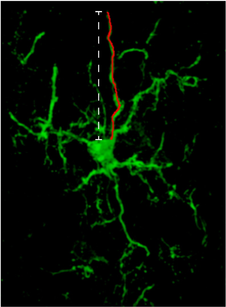 Supplementary Figure 1