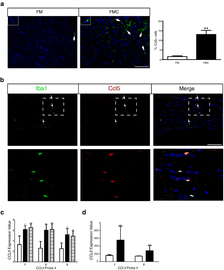 Figure 4