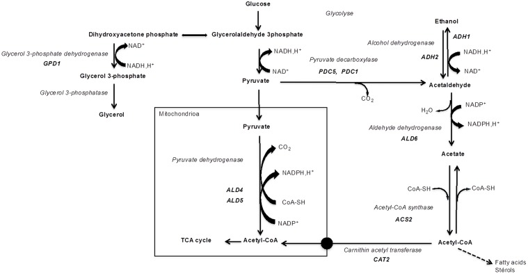 FIGURE 1