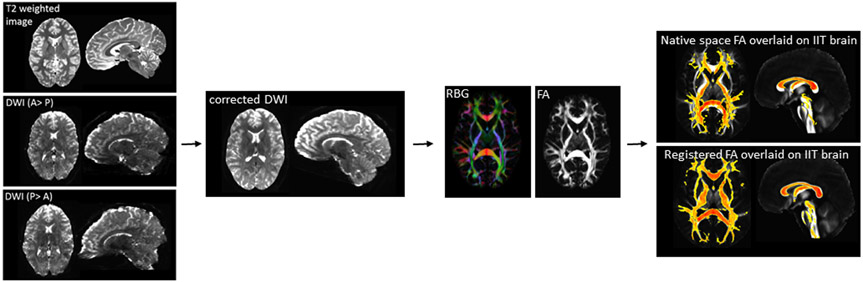 Figure 2: