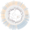 Extended Data Fig. 1