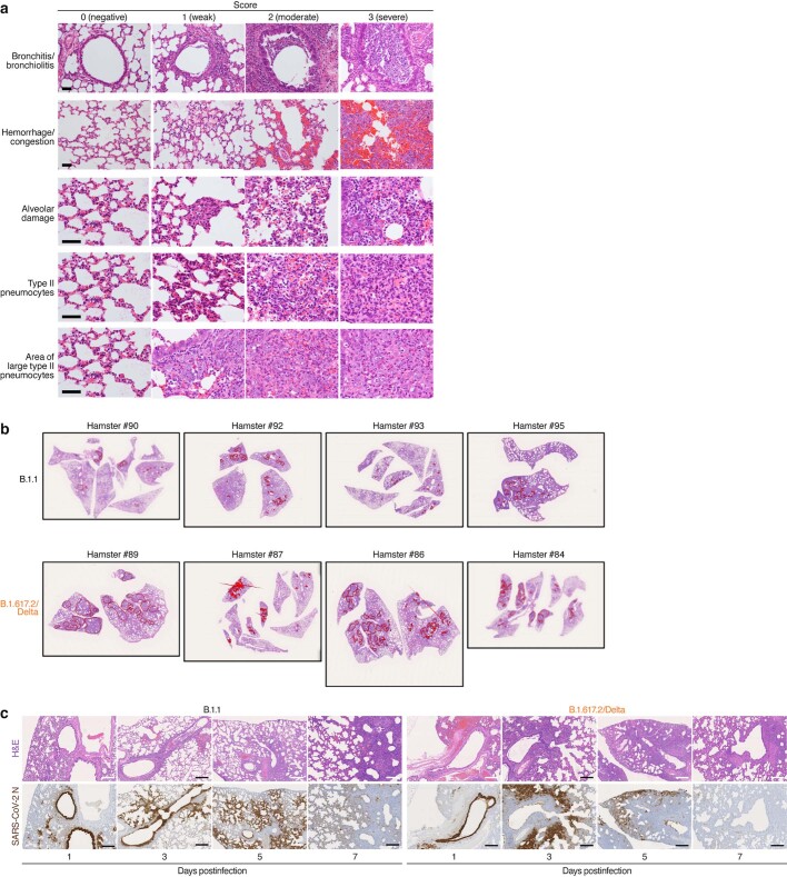 Extended Data Fig. 5