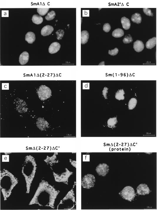 FIG. 5