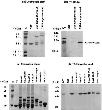 FIG. 6