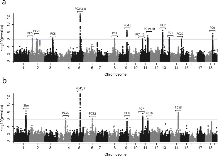 Fig 3