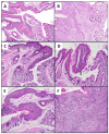 Fig. 6