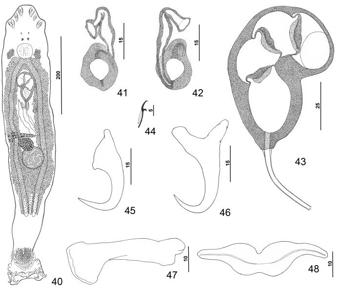 Figures 40–48.