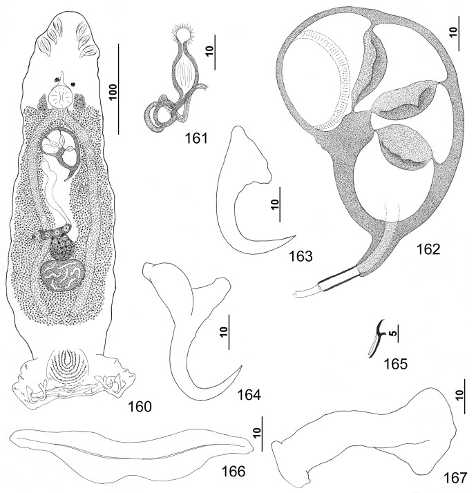 Figures 160–167.