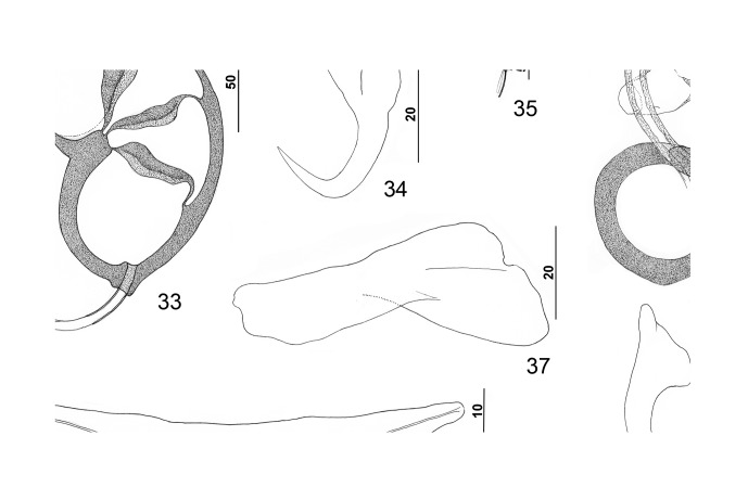 Figures 33–39.