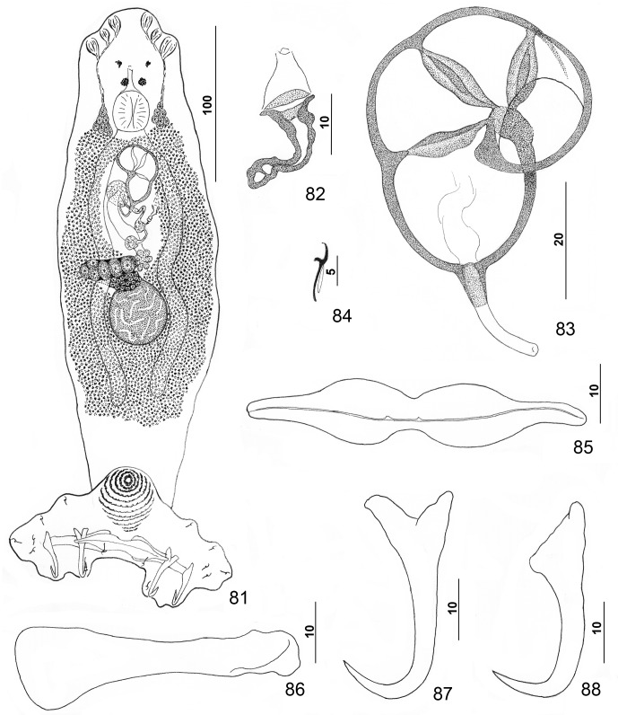 Figures 81–88.