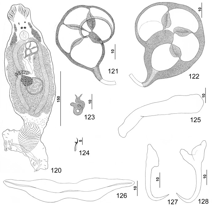 Figures 120–128.